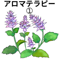 [LINEスタンプ] アロマテラピー no.1