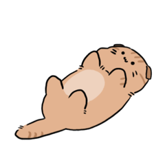 [LINEスタンプ] ねこのまるすたんぷ