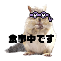 [LINEスタンプ] ナオキン動物