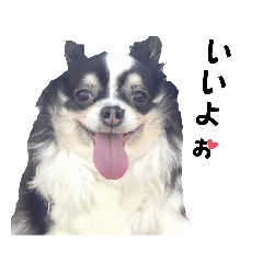 [LINEスタンプ] 毎日使える、もぉちゃんシリーズ。