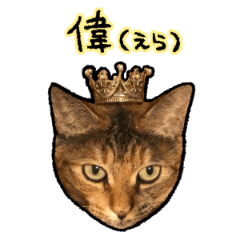 [LINEスタンプ] 実写ねこスタンプ ウォル3