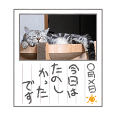 [LINEスタンプ] こまりんこ小町