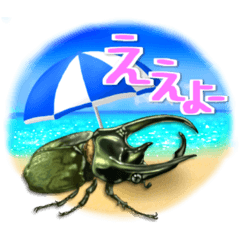 [LINEスタンプ] リアルクワカブ☆夏 毎年使えるスタンプ