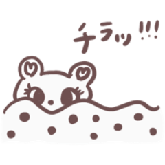 [LINEスタンプ] くまちゃんの日常集