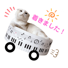 [LINEスタンプ] 2023/6/29