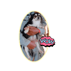 [LINEスタンプ] そんながっつりしないで