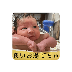 [LINEスタンプ] 飛び出せポコちゃん！