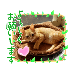 [LINEスタンプ] るぅのスタンプ1st