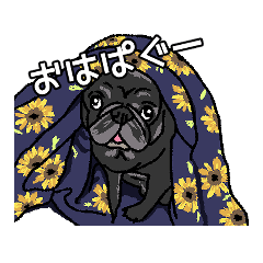 [LINEスタンプ] 黒パグのパギー2