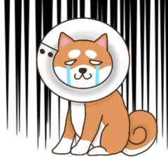 [LINEスタンプ] ラッパ犬サブロウの憂鬱