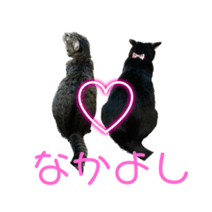 [LINEスタンプ] すずとベル第2弾