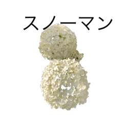 [LINEスタンプ] 花 dodoスタンプ301flowerの画像（メイン）