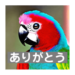 [LINEスタンプ] インコのピーちゃん AIスタンプ