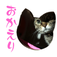 [LINEスタンプ] トラキチスタンプ第2弾