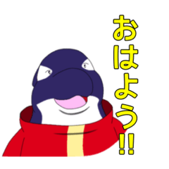 [LINEスタンプ] シャチのキュウ キュウと仲間たち 第一弾