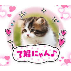 [LINEスタンプ] ほのぼの風