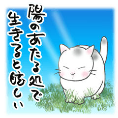 [LINEスタンプ] 悟り猫タマのネガティブでも楽な生き方