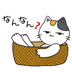 [LINEスタンプ] 短足三毛猫の関西弁スタンプ