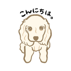 [LINEスタンプ] アメリカンコッカースパニエルのはなちゃん