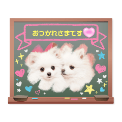 [LINEスタンプ] ぽめ兄妹
