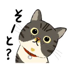 [LINEスタンプ] 博多弁が話せるラッキー