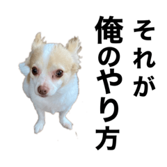 [LINEスタンプ] 俺には俺の生き方がある〜全員集合〜
