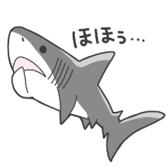 [LINEスタンプ] サメのいろいろスタンプの画像（メイン）