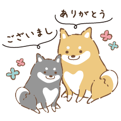 [LINEスタンプ] 毎日使える！柴わんねこさん