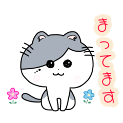 [LINEスタンプ] リオくん。スタンプ