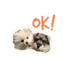 [LINEスタンプ] BEALの毎日スタンプ