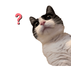 [LINEスタンプ] おむぎはん2の画像（メイン）