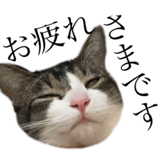 [LINEスタンプ] おしごと睦月さん