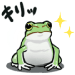 [LINEスタンプ] かわいいカエルの日常【けろけっけ日記】