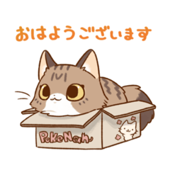 [LINEスタンプ] こまいと日常