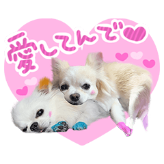 [LINEスタンプ] うにとたら第3段