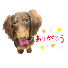 [LINEスタンプ] カニンヘンダックス⭐︎LUKE