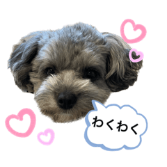 [LINEスタンプ] ムギ丸とおか丸スタンプ