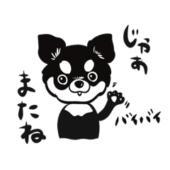 [LINEスタンプ] Chihuahuaくろチワワ