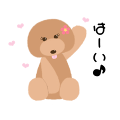 [LINEスタンプ] スタンダードプードルのハナスタンプ