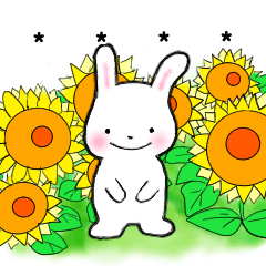 [LINEスタンプ] ラビットセンス 夏