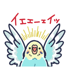 [LINEスタンプ] セキセイインコLINEスタンプ 黄色頭の水色