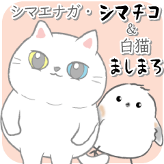 [LINEスタンプ] シマエナガ・シマチコ＆白猫ましまろ（改）