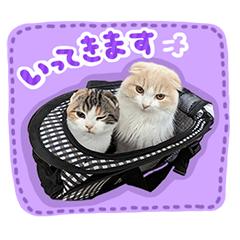 [LINEスタンプ] スコ姉妹モカミケ