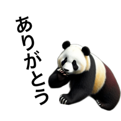 [LINEスタンプ] リアルなパンダで会話の画像（メイン）