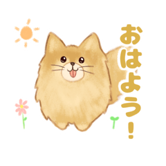 [LINEスタンプ] 生意気なポメラニアンのてん(短髪＆長髪)