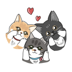 [LINEスタンプ] 癒しのねこ達