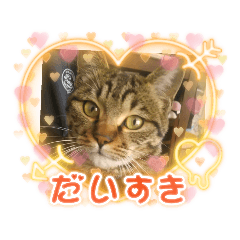 [LINEスタンプ] 癒し系動物さんスタンプ