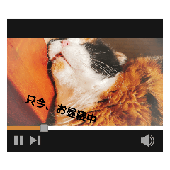 [LINEスタンプ] Mf.Pet