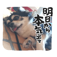 [LINEスタンプ] れいちゃむ詰め合わせ☆