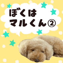 [LINEスタンプ] ぼくはマルくん2